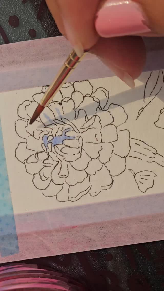 Watercolor chrysanthemum flower being painted with fine brush